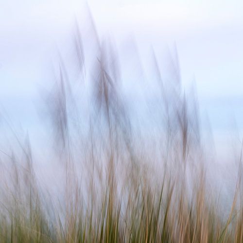 Wadden Photography - Strand #6 uit serie van 9 beelden