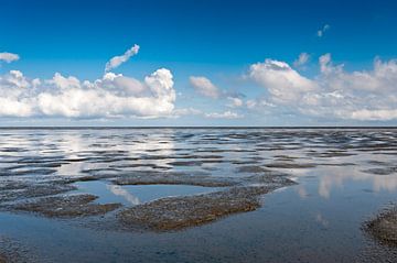 the mudflats11 by Geertjan Plooijer