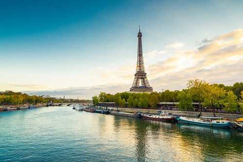 Paris Eiffel Tower  by davis davis