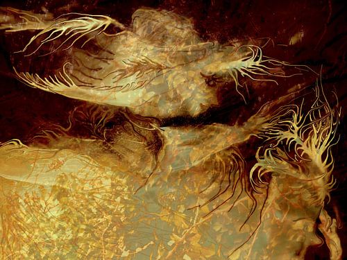 Die im verborgenen Schwebende