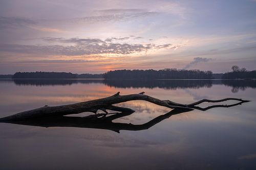 Six Lakes Plateau, Duisburg, North Rhine-Westphalia, Germany by Alexander Ludwig