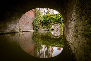 Gardens of Utrecht by Sander Peters