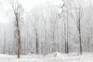 Winter van Ingrid Van Damme fotografie