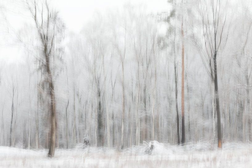 Winter von Ingrid Van Damme fotografie