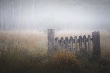 Bos fotografie "the little fence in the field"