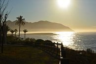 fog over the sea at sunrise. by Bella Luna Fotografie thumbnail