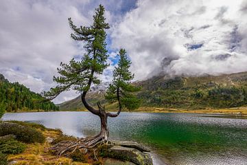 Lac supérieur Tyrol oriental