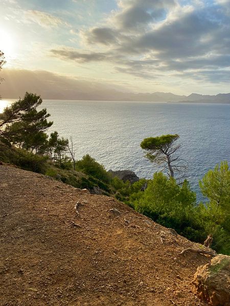Mallorca - Paysage par Marek Bednarek