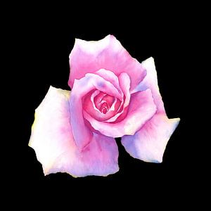 Rose du Nouvel An sur noir