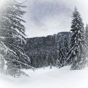 Bavarian Winter's Tale VI van Melanie Viola