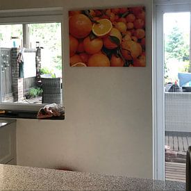 Customer photo: Orange oranges fruit by Carina Meijer ÇaVa Fotografie, on canvas