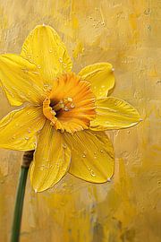 Gelbe Blume | Narzis mit Regentropfen