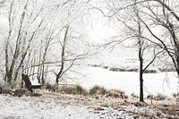 RUHIGE WINTERLANDSCHAFT