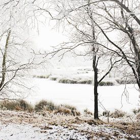 PEACEFUL WINTER LANDSCAPE by Petra Terpstra