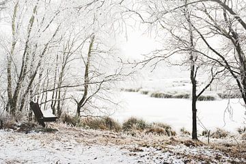 Rustig winterlandschap van Petra Terpstra