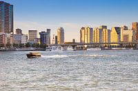 The Skyline of Rotterdam