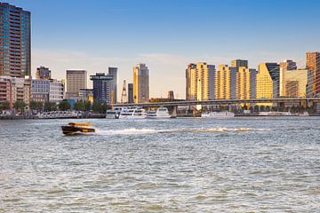 The Skyline of Rotterdam by Petra Brouwer