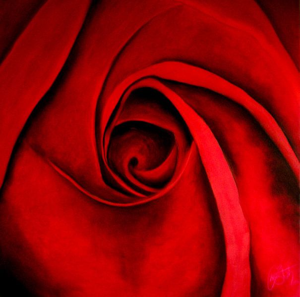 Rote Rosen von Christoph Van Daele