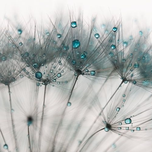 Turquoise abstrait : dans un motif de lignes de la nature