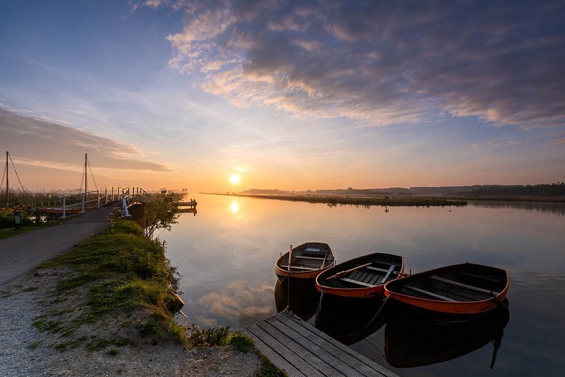 In the sunlight by Jan Koppelaar