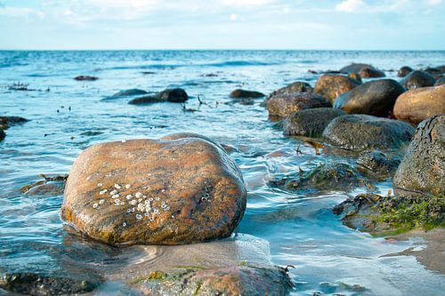 Stenen strand in Denemarken aan zee