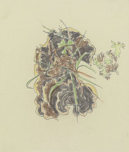August Babberger - Study for plants by Peter Balan