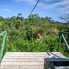 Zipline im Regenwald von Costa Rica von t.ART