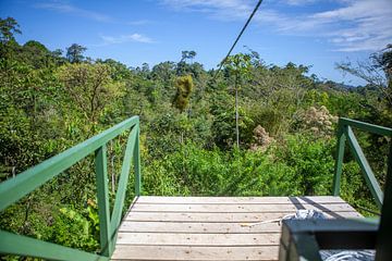 Zipline in het regenwoud van Costa Rica