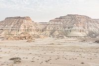 Tree in a rough landscape | Iran