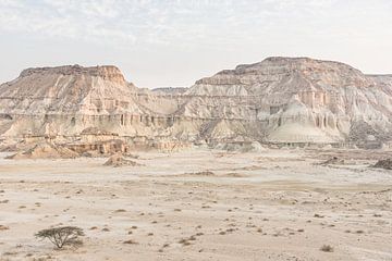 Boom in een ruig landschap | Iran van Photolovers reisfotografie