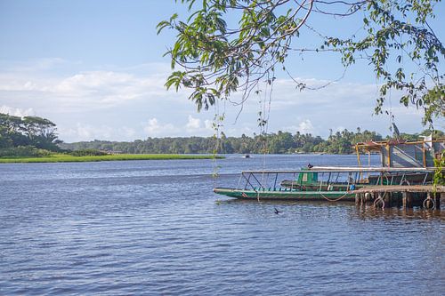 Costa Rica - Tortuguero Nationaal Park
