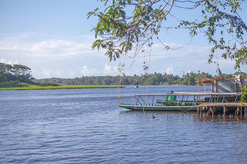 Costa Rica - Tortuguero Nationalpark von t.ART