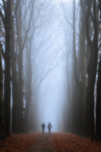 Wandelen in een spooky bos