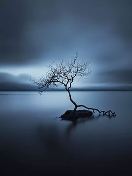 Night in the lake by haroulita