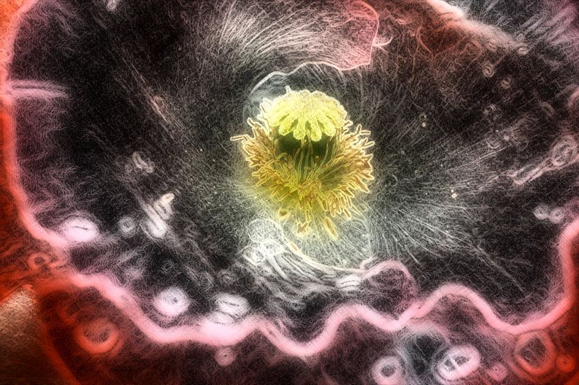 Blütenpollen virtuos par Edgar Schermaul