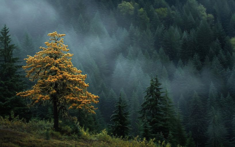Spaziergang im Herbst von fernlichtsicht