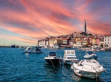 Port de Rovinj sur la mer Adriatique en Croatie sur Animaflora PicsStock