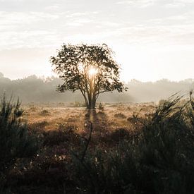 Minimalistischer Sonnenaufgang von Allround_Moments