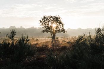 Minimalistischer Sonnenaufgang