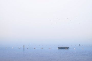 Hoornseplas Groningen von Elianne van Turennout