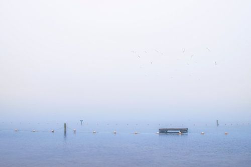 Ochtendmist bij Hoornseplas in Groningen – Rustgevende Natuurfotografie voor een Kalmerend Interieur