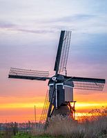 Broekmolen Close up