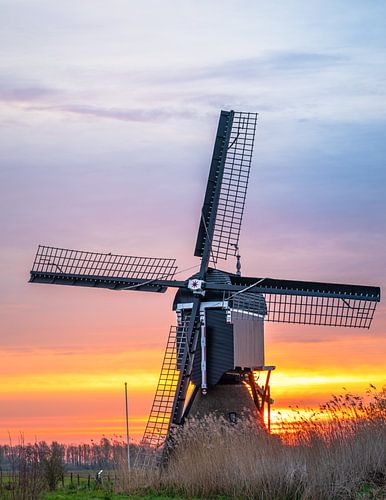 Broekmolen Gros plan