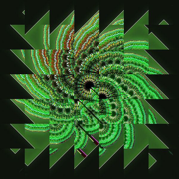 Fraktal in grün par Leopold Brix