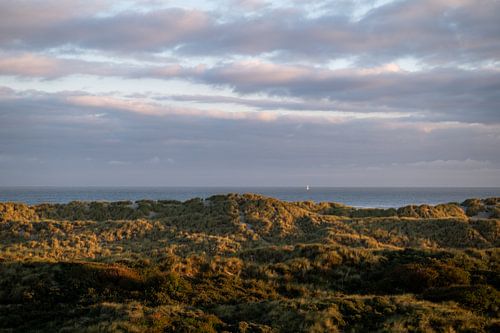 Sailing ship on the horizon at dawn on Terschelling