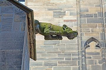 Waterspuwer aan de Dom van Magdeburg (Saksen-Anhalt)