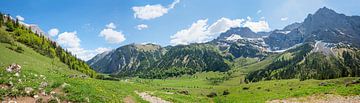 lentelandschapspanorama met groene weide, Eng Alpen van SusaZoom