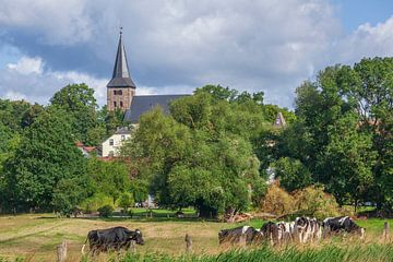 Église avec vaches, pâturage et ambiance nuageuse