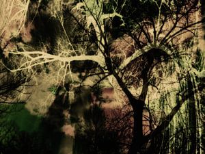 Mystischer Wald