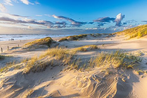 Noordzee kust bij Hargen